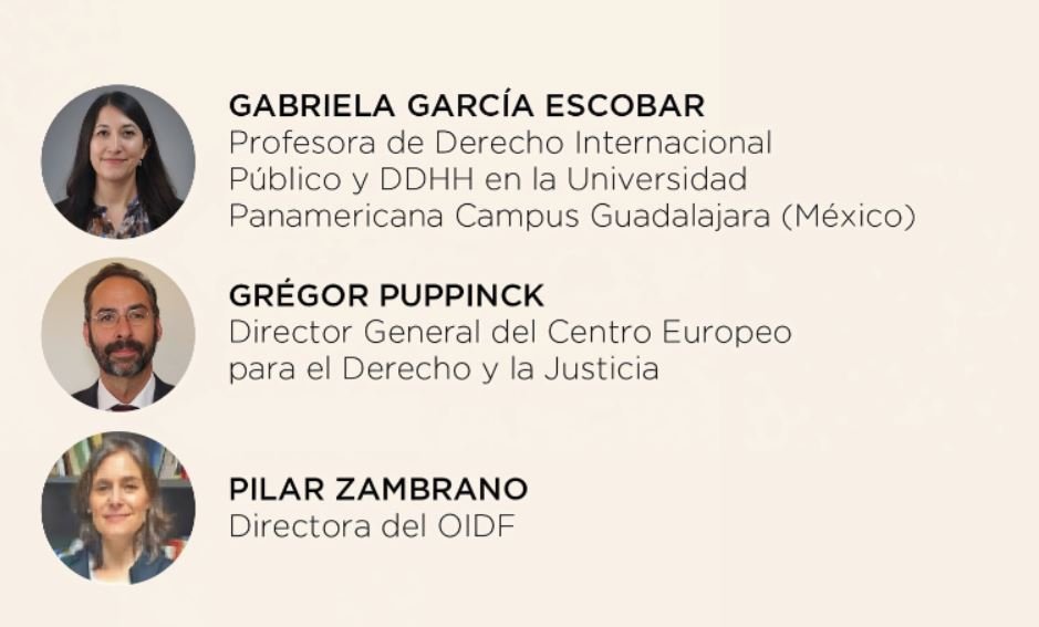 Activismo y Rule of Law en los Órganos Internacionales de DDHH